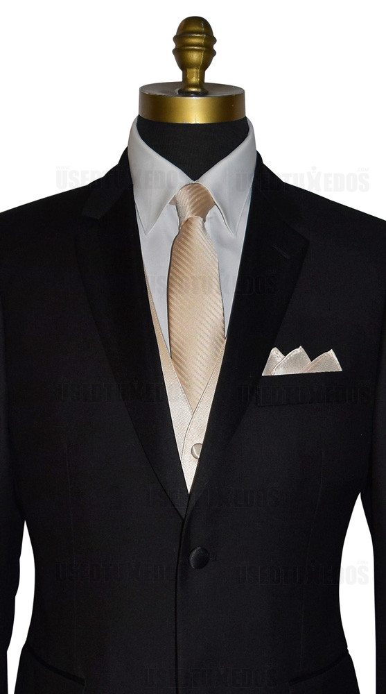 men's and boy's long champagne dress tie for champagne bridal