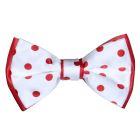 WHITE BOWTIE WITH RED POLKA DOT. PRE-TIED